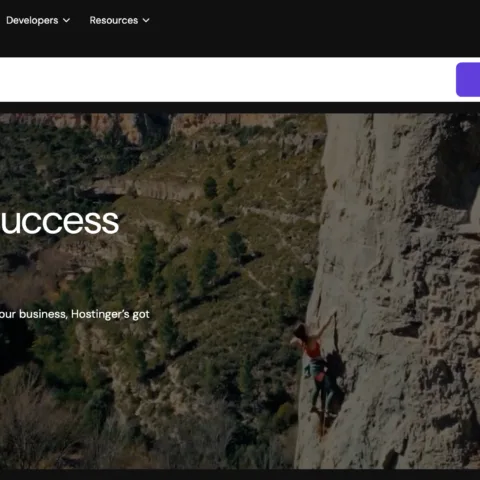 Hostinger Solusi Web & Toko Online